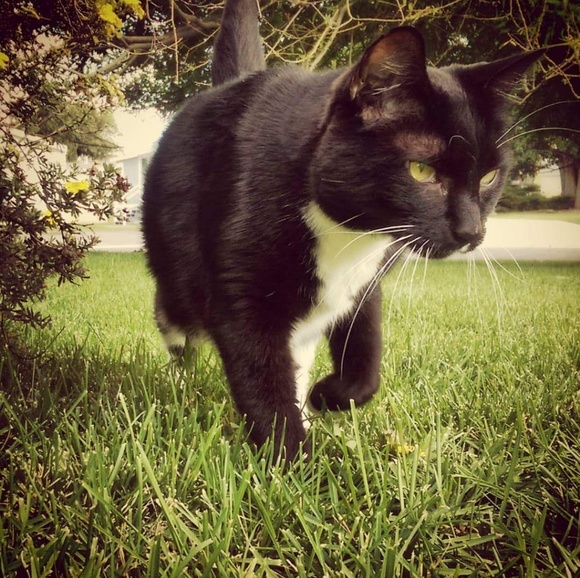 Meet the Posher - Picture 5 of 8